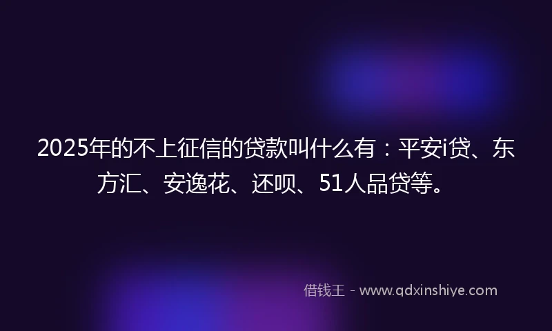 2025年的不上征信的贷款叫什么有：平安i贷、东方汇、安逸花、还呗、51人品贷等。