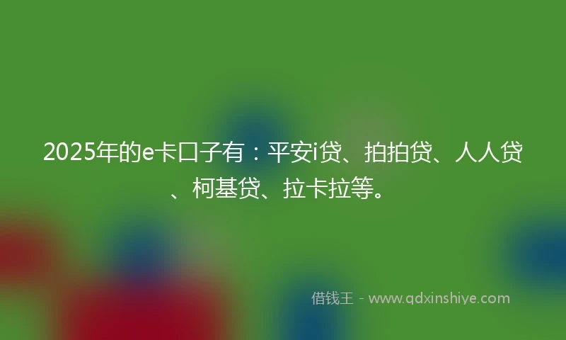 2025年的e卡口子有：平安i贷、拍拍贷、人人贷、柯基贷、拉卡拉等。