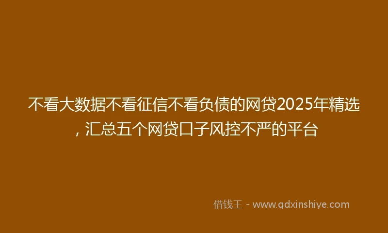 不看大数据不看征信不看负债的网贷2025年精选，汇总五个网贷口子风控不严的平台