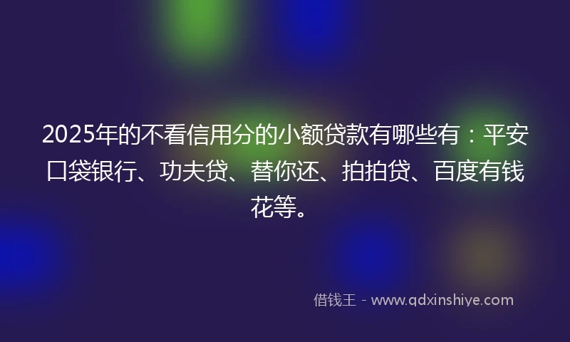 2025年的不看信用分的小额贷款有哪些有：平安口袋银行、功夫贷、替你还、拍拍贷、百度有钱花等。