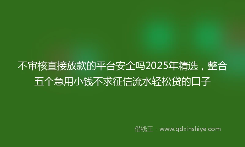 不审核直接放款的平台安全吗2025年精选,整合五个急用小钱不求征信流水轻松贷的口子