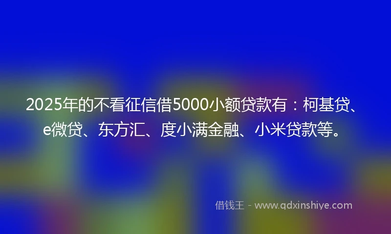 2025年的不看征信借5000小额贷款有：柯基贷、e微贷、东方汇、度小满金融、小米贷款等。