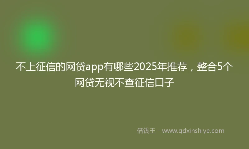 不上征信的网贷app有哪些2025年推荐，整合5个网贷无视不查征信口子