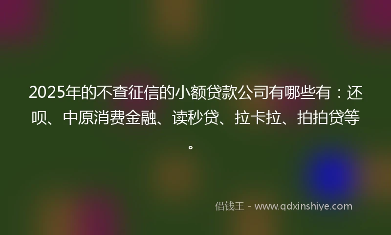 2025年的不查征信的小额贷款公司有哪些有：还呗、中原消费金融、读秒贷、拉卡拉、拍拍贷等。