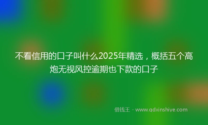 不看信用的口子叫什么2025年精选，概括五个高炮无视风控逾期也下款的口子