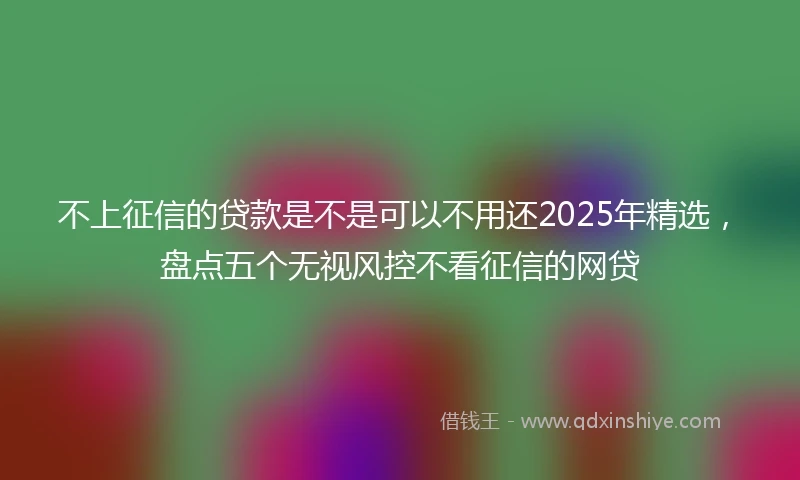 不上征信的贷款是不是可以不用还2025年精选，盘点五个无视风控不看征信的网贷