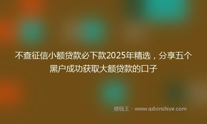 不查征信小额贷款必下款2025年精选，分享五个黑户成功获取大额贷款的口子