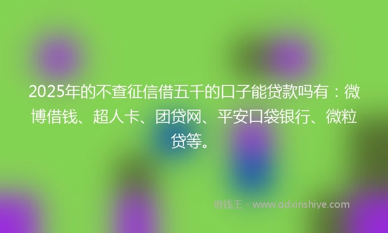 2025年的不查征信借五千的口子能贷款吗有：微博借钱、超人卡、团贷网、平安口袋银行、微粒贷等。