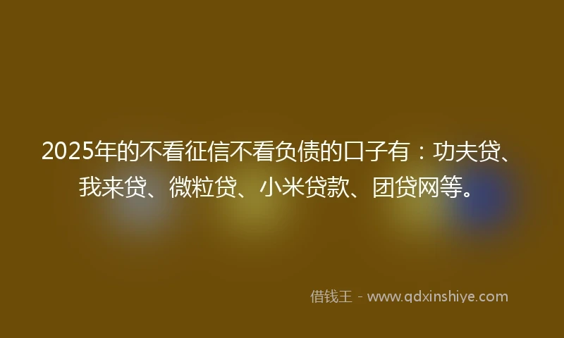 2025年的不看征信不看负债的口子有：功夫贷、我来贷、微粒贷、小米贷款、团贷网等。
