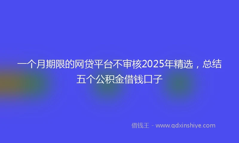 一个月期限的网贷平台不审核2025年精选，总结五个公积金借钱口子