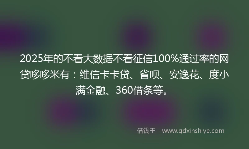 2025年的不看大数据不看征信100%通过率的网贷哆哆米有：维信卡卡贷、省呗、安逸花、度小满金融、360借条等。