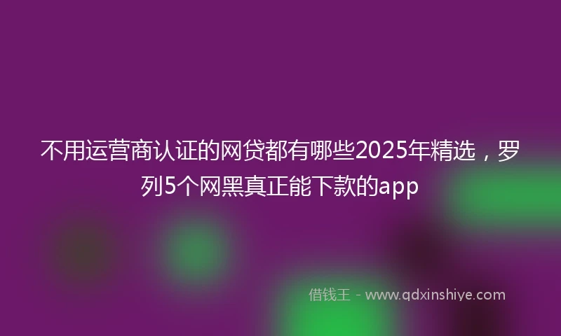 不用运营商认证的网贷都有哪些2025年精选，罗列5个网黑真正能下款的app