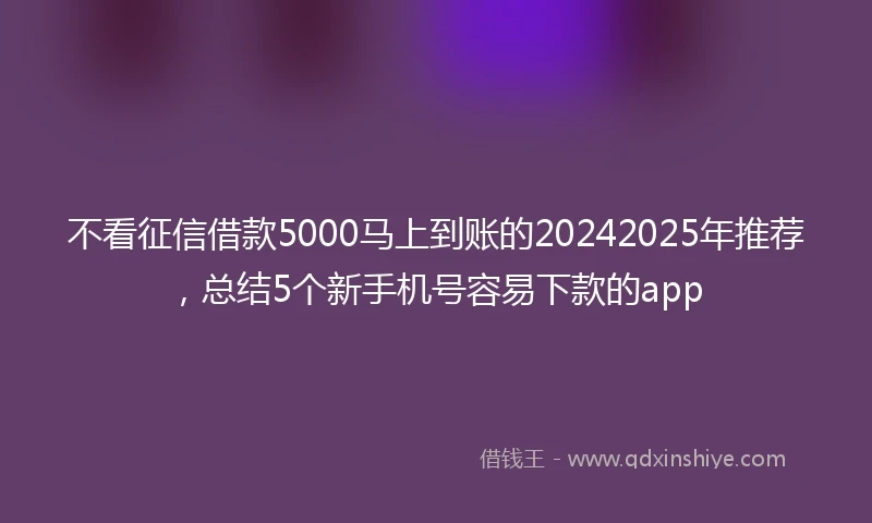 不看征信借款5000马上到账的20242025年推荐，总结5个新手机号容易下款的app