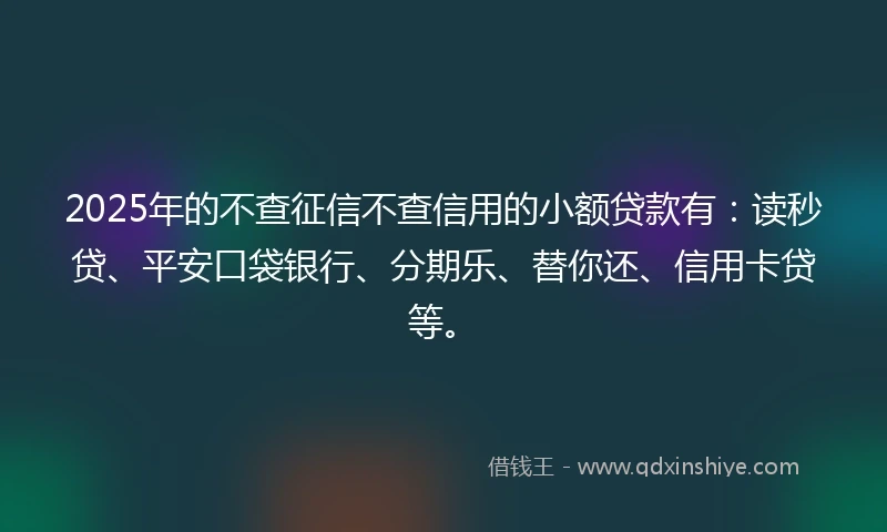 2025年的不查征信不查信用的小额贷款有：读秒贷、平安口袋银行、分期乐、替你还、信用卡贷等。