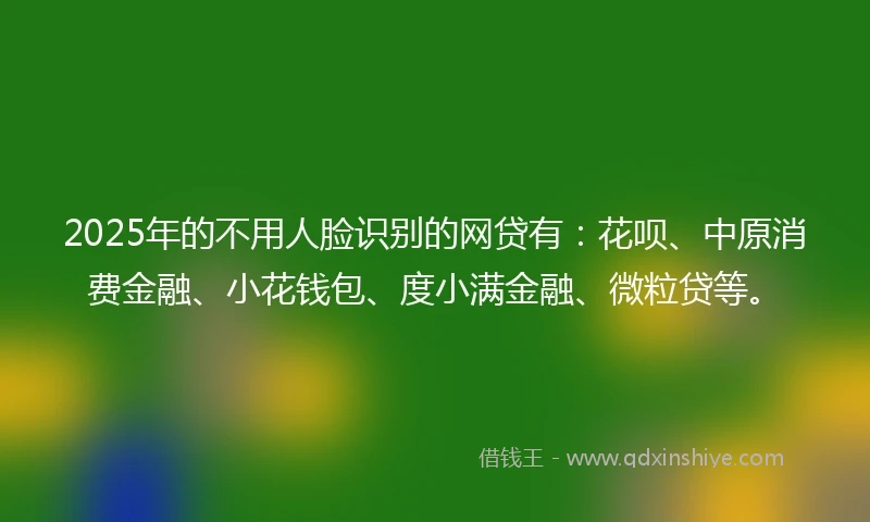 2025年的不用人脸识别的网贷有：花呗、中原消费金融、小花钱包、度小满金融、微粒贷等。