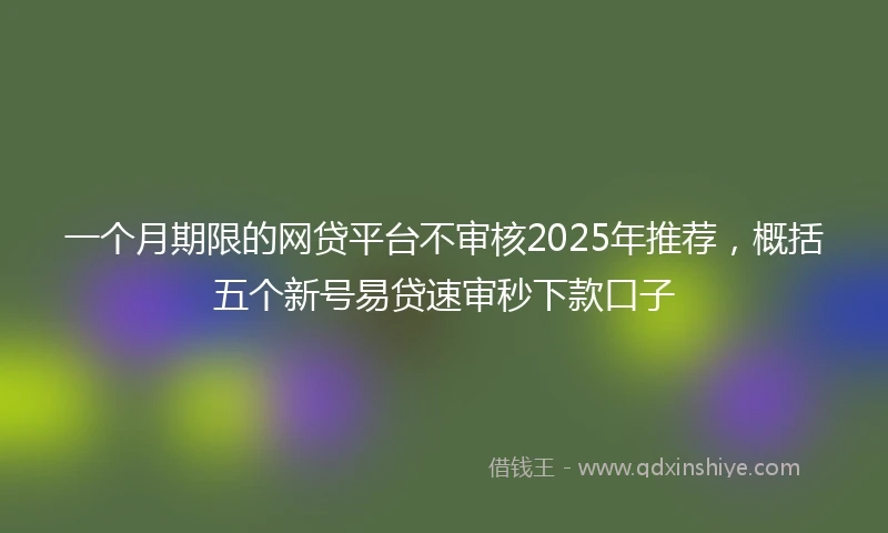 一个月期限的网贷平台不审核2025年推荐，概括五个新号易贷速审秒下款口子