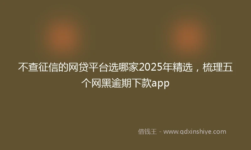 不查征信的网贷平台选哪家2025年精选，梳理五个网黑逾期下款app