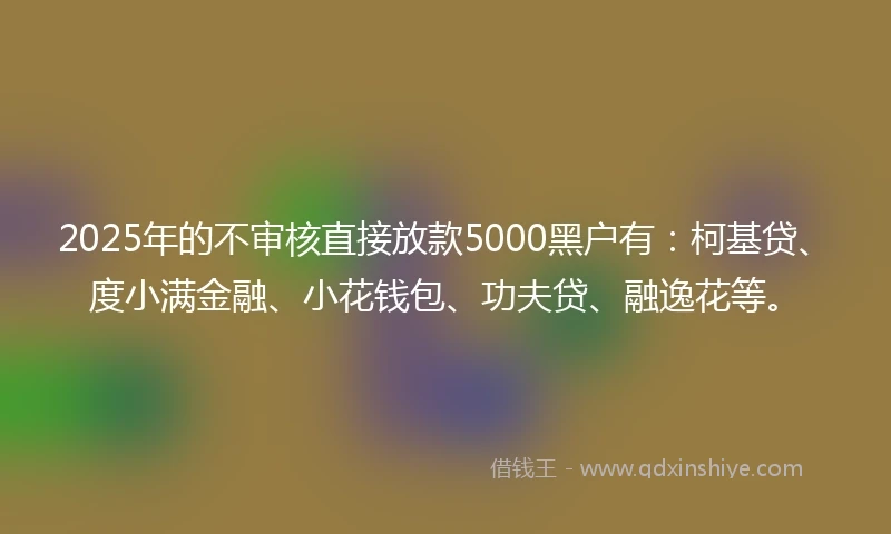 2025年的不审核直接放款5000黑户有：柯基贷、度小满金融、小花钱包、功夫贷、融逸花等。