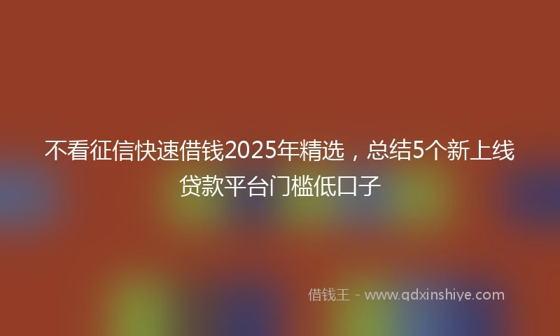 不看征信快速借钱2025年精选，总结5个新上线贷款平台门槛低口子