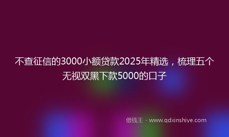 不查征信的3000小额贷款2025年精选，梳理五个无视双黑下款5000的口子