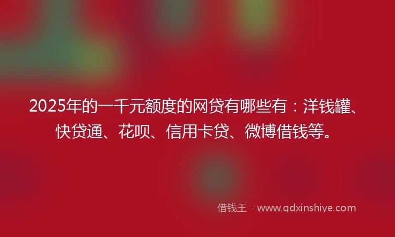 2025年的一千元额度的网贷有哪些有：洋钱罐、快贷通、花呗、信用卡贷、微博借钱等。