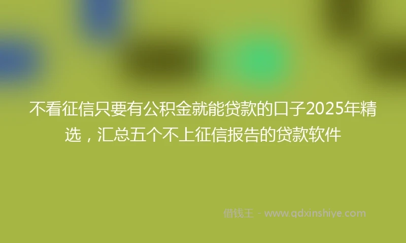 不看征信只要有公积金就能贷款的口子2025年精选，汇总五个不上征信报告的贷款软件