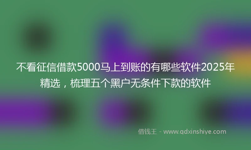 不看征信借款5000马上到账的有哪些软件2025年精选，梳理五个黑户无条件下款的软件