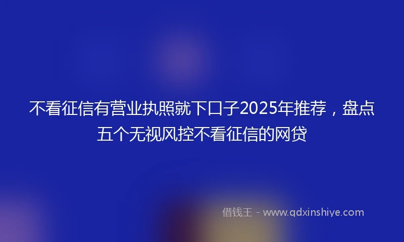 不看征信有营业执照就下口子2025年推荐，盘点五个无视风控不看征信的网贷