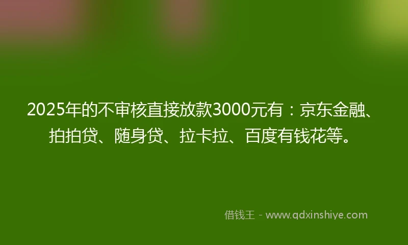 2025年的不审核直接放款3000元有：京东金融、拍拍贷、随身贷、拉卡拉、百度有钱花等。