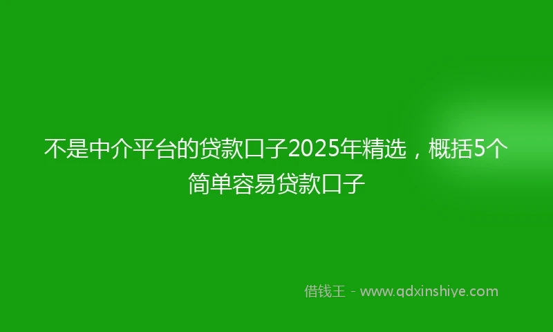 不是中介平台的贷款口子2025年精选，概括5个简单容易贷款口子