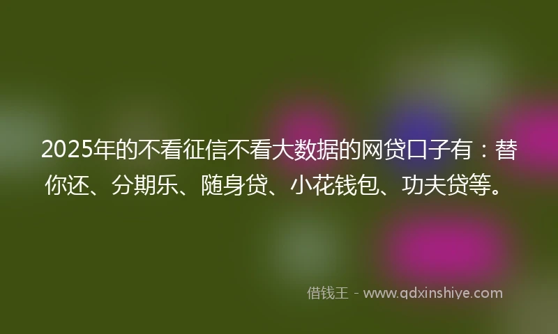 2025年的不看征信不看大数据的网贷口子有：替你还、分期乐、随身贷、小花钱包、功夫贷等。