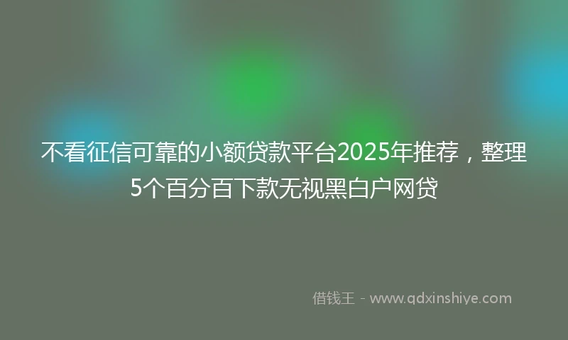 不看征信可靠的小额贷款平台2025年推荐，整理5个百分百下款无视黑白户网贷