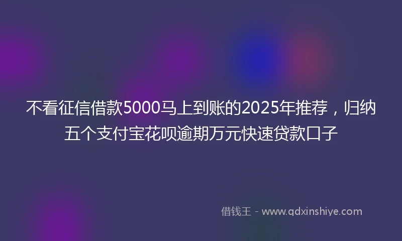 不看征信借款5000马上到账的2025年推荐，归纳五个支付宝花呗逾期万元快速贷款口子