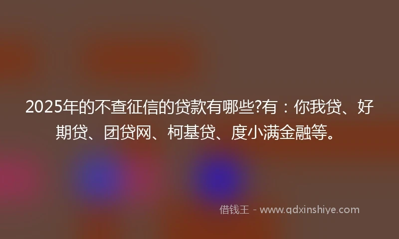 2025年的不查征信的贷款有哪些?有：你我贷、好期贷、团贷网、柯基贷、度小满金融等。