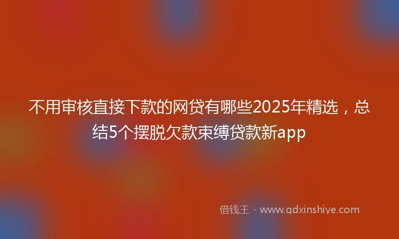不用审核直接下款的网贷有哪些2025年精选，总结5个摆脱欠款束缚贷款新app
