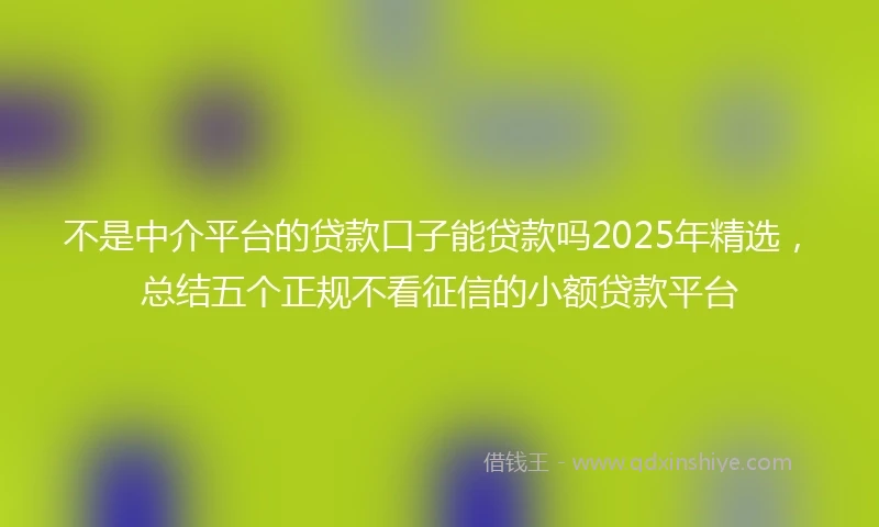 不是中介平台的贷款口子能贷款吗2025年精选，总结五个正规不看征信的小额贷款平台