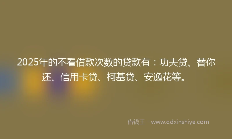 2025年的不看借款次数的贷款有：功夫贷、替你还、信用卡贷、柯基贷、安逸花等。