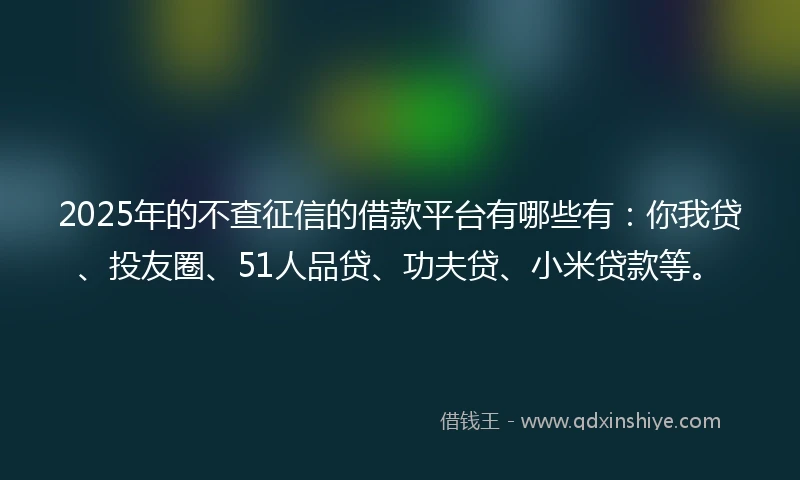 2025年的不查征信的借款平台有哪些有：你我贷、投友圈、51人品贷、功夫贷、小米贷款等。