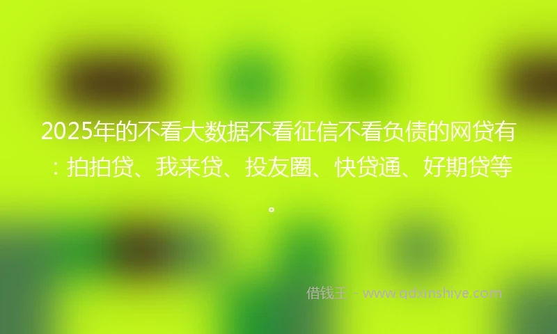 2025年的不看大数据不看征信不看负债的网贷有：拍拍贷、我来贷、投友圈、快贷通、好期贷等。