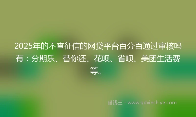 2025年的不查征信的网贷平台百分百通过审核吗有：分期乐、替你还、花呗、省呗、美团生活费等。