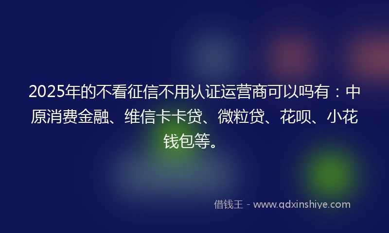 2025年的不看征信不用认证运营商可以吗有：中原消费金融、维信卡卡贷、微粒贷、花呗、小花钱包等。