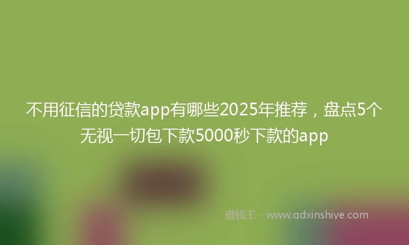 不用征信的贷款app有哪些2025年推荐，盘点5个无视一切包下款5000秒下款的app