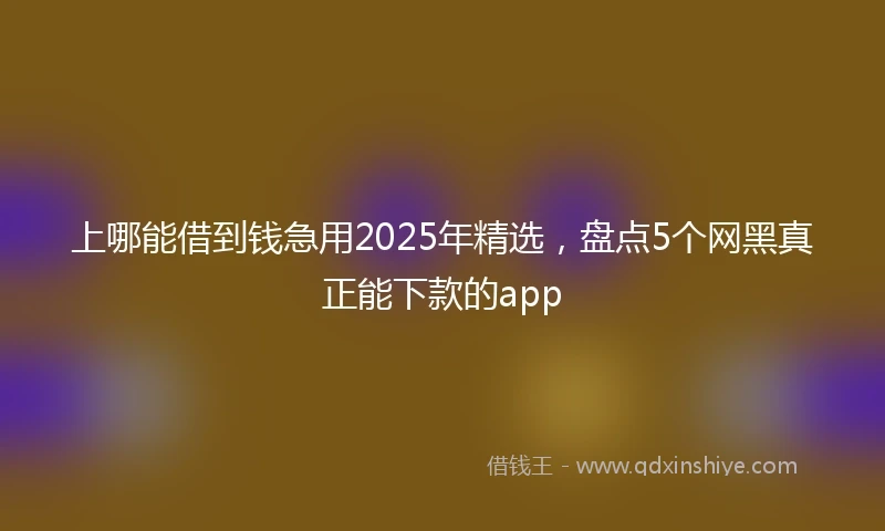 上哪能借到钱急用2025年精选，盘点5个网黑真正能下款的app