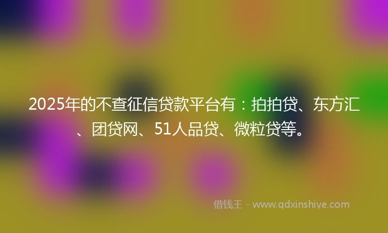 2025年的不查征信贷款平台有：拍拍贷、东方汇、团贷网、51人品贷、微粒贷等。