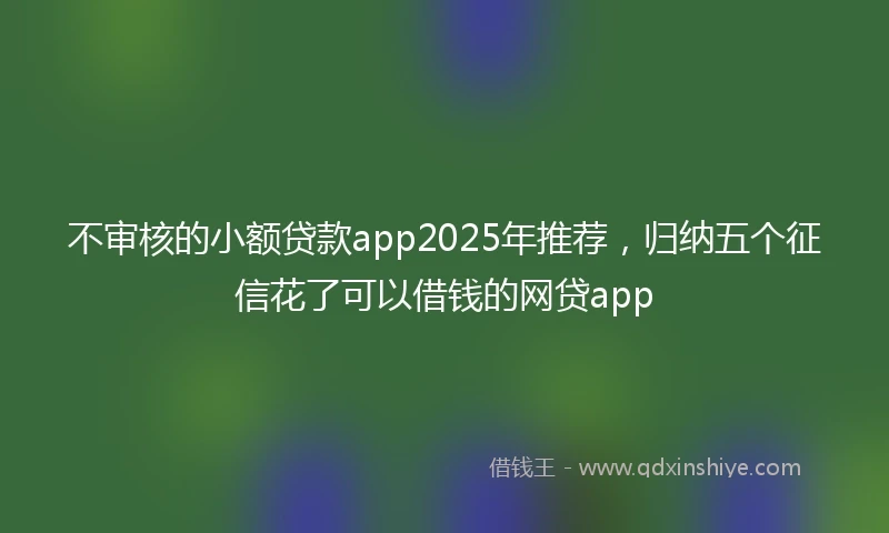 不审核的小额贷款app2025年推荐，归纳五个征信花了可以借钱的网贷app
