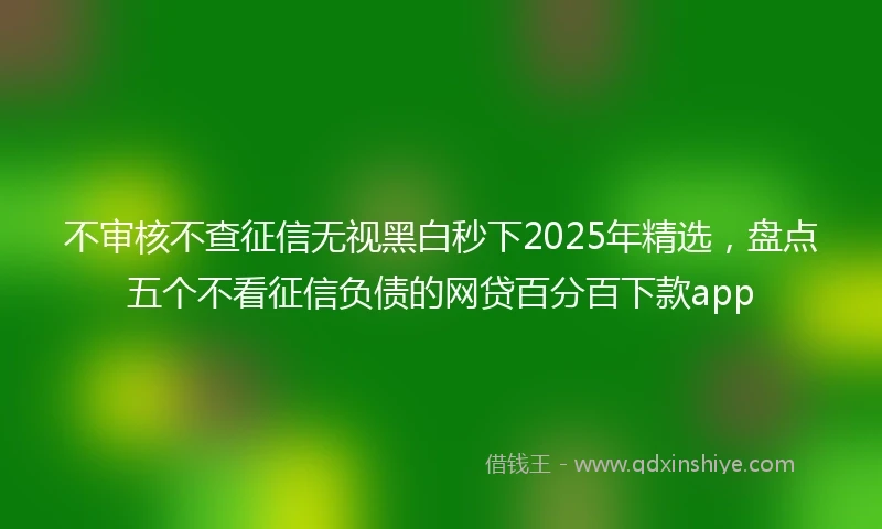不审核不查征信无视黑白秒下2025年精选，盘点五个不看征信负债的网贷百分百下款app