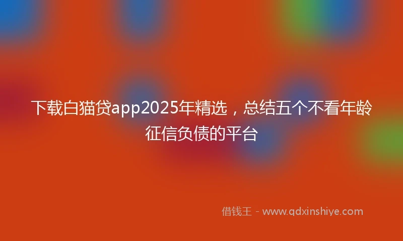 下载白猫贷app2025年精选，总结五个不看年龄征信负债的平台
