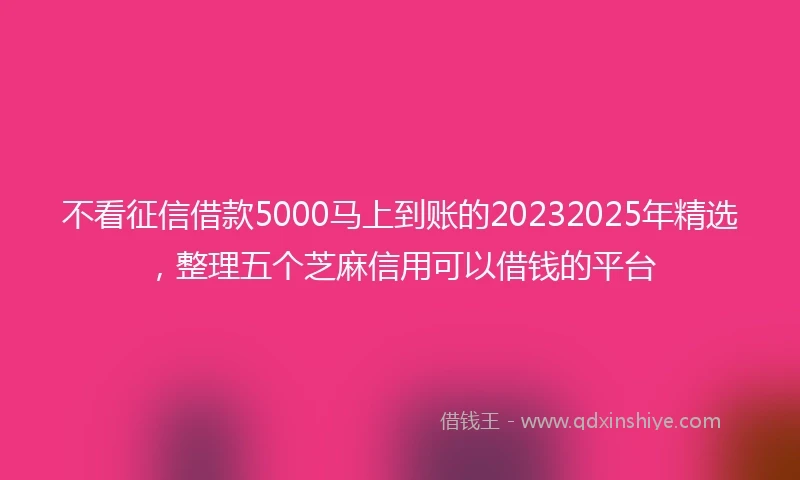 不看征信借款5000马上到账的20232025年精选，整理五个芝麻信用可以借钱的平台