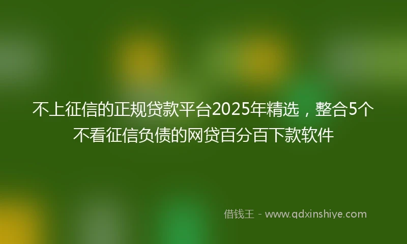 不上征信的正规贷款平台2025年精选,整合5个不看征信负债的网贷百分百下款软件