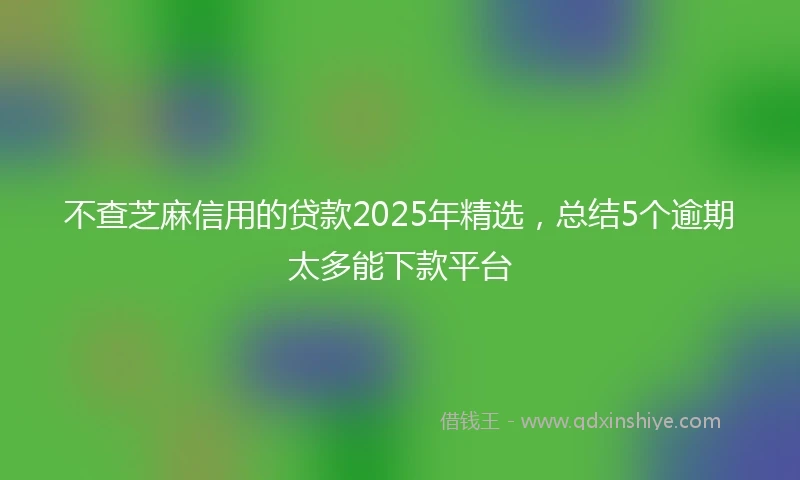 不查芝麻信用的贷款2025年精选，总结5个逾期太多能下款平台